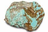 Polished Turquoise Section - Number Mine, Carlin, NV #292307-1